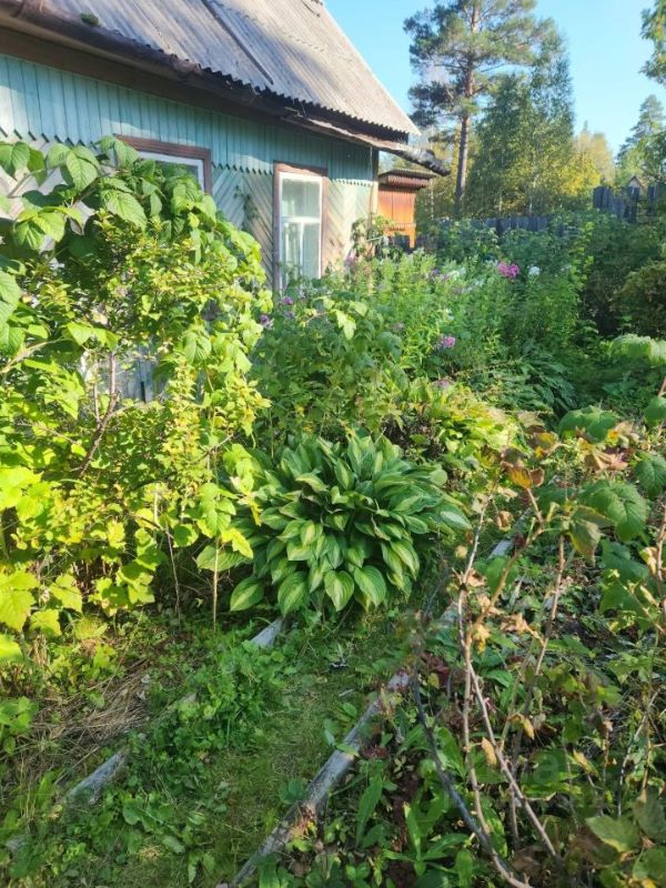 Дом, 38 м2, 4.7 сотки