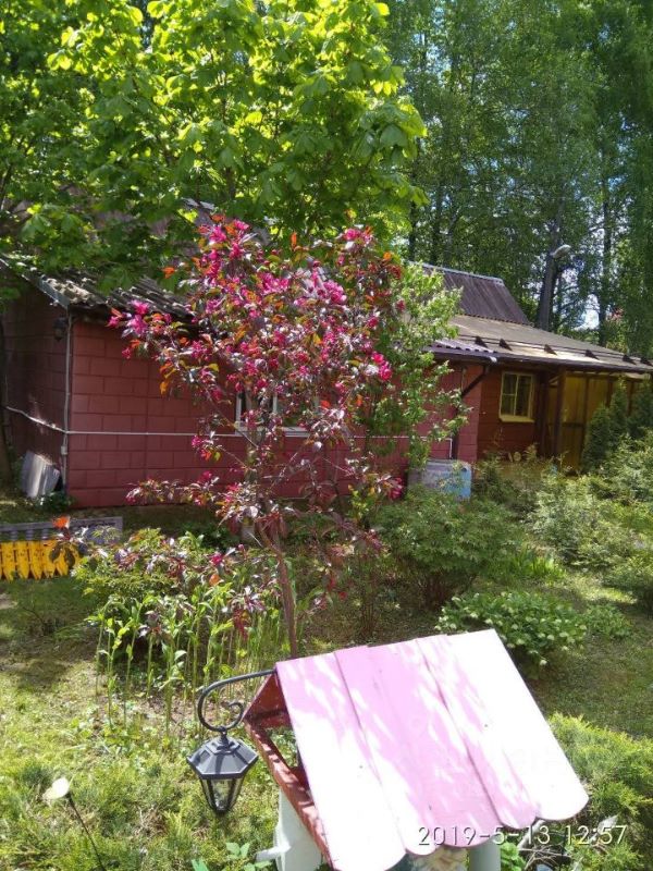 Дом, 50 м², 1 сотка