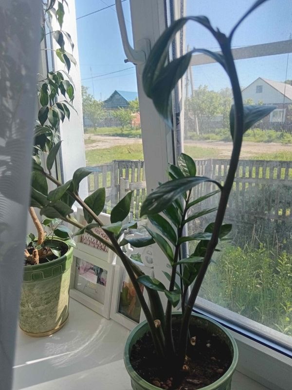 4-комн., 86.4 м², 1/1 этаж