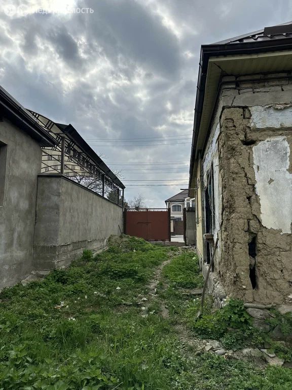 3 сотки