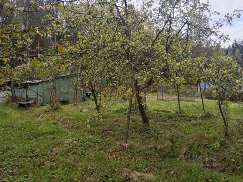 Участок, 6 соток, СТ