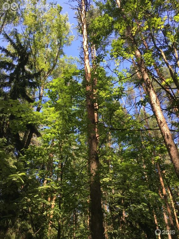 2-комн., 65 м², 4/5 этаж