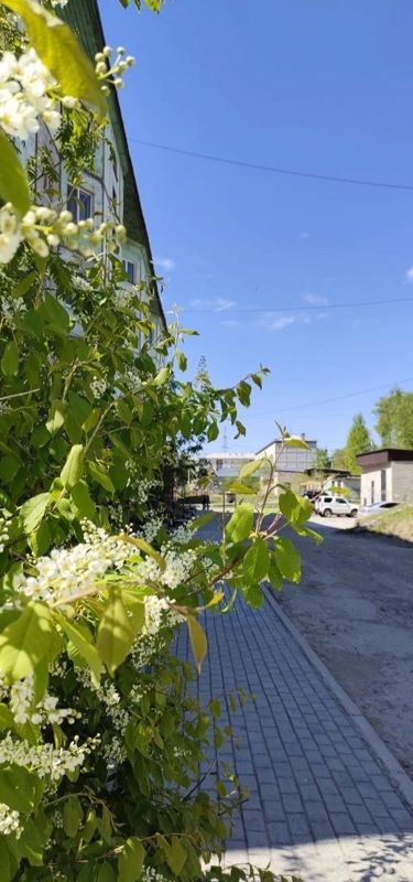 2-комн., 43.6 м², 4/5 этаж