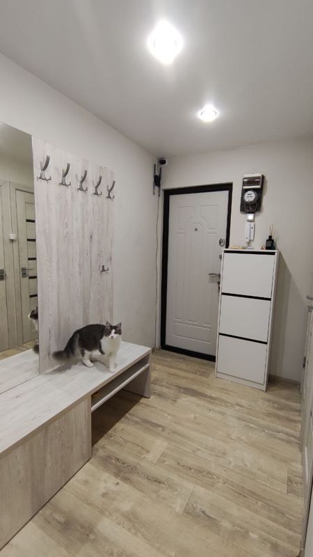 2-комн., 49.9 м², 4/5 этаж