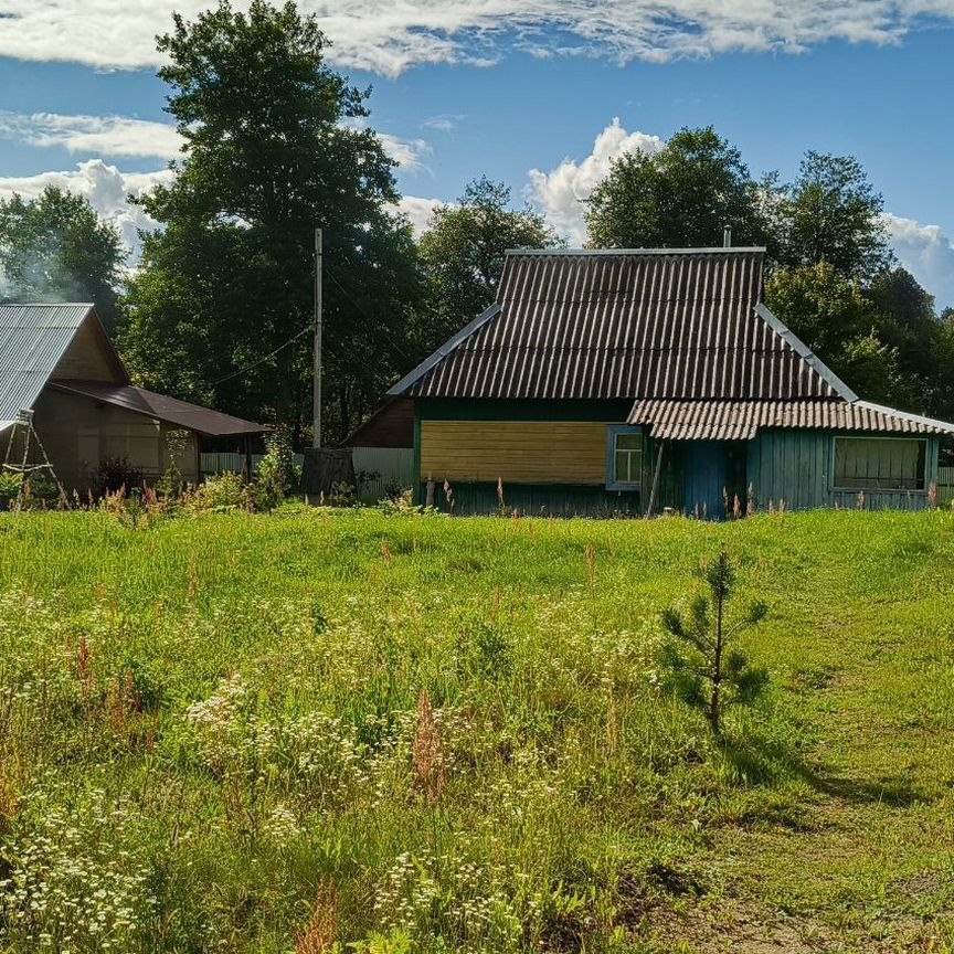 Дом, 48 м², 52 сотки