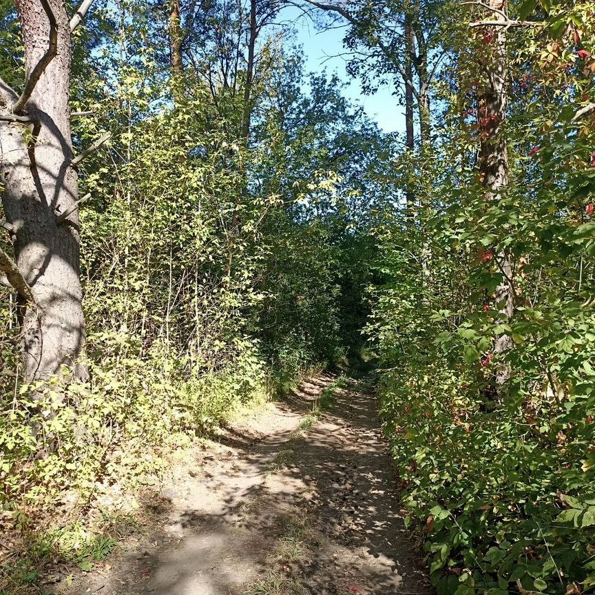 Коттедж, 20 м², 10 соток