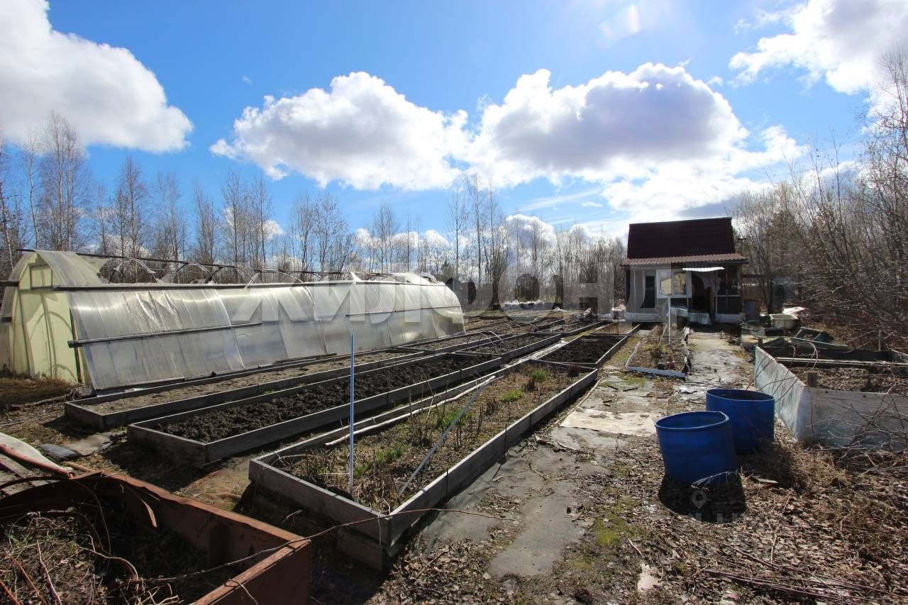 Дом, 31.5 м², 13 соток