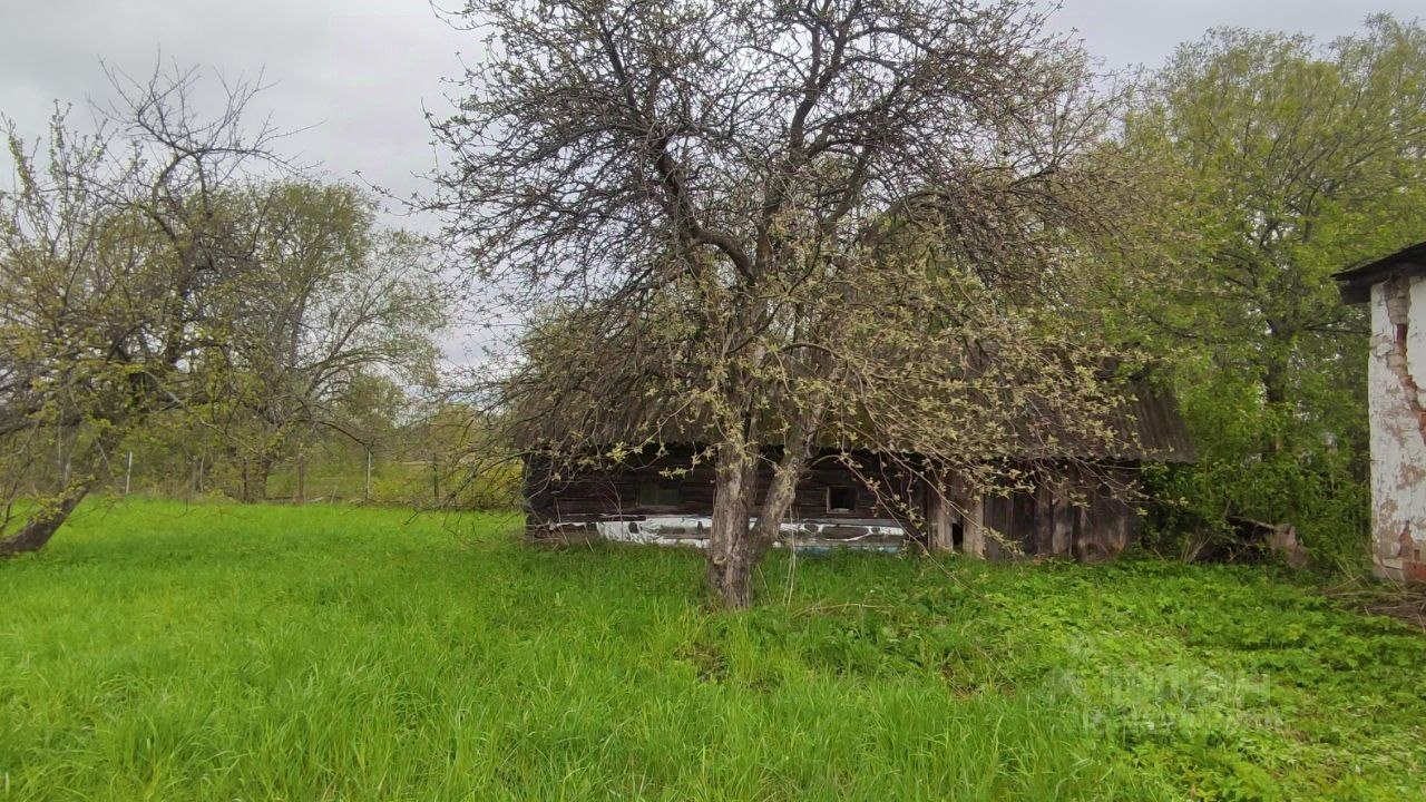 Дом, 55 м², 32 сотки