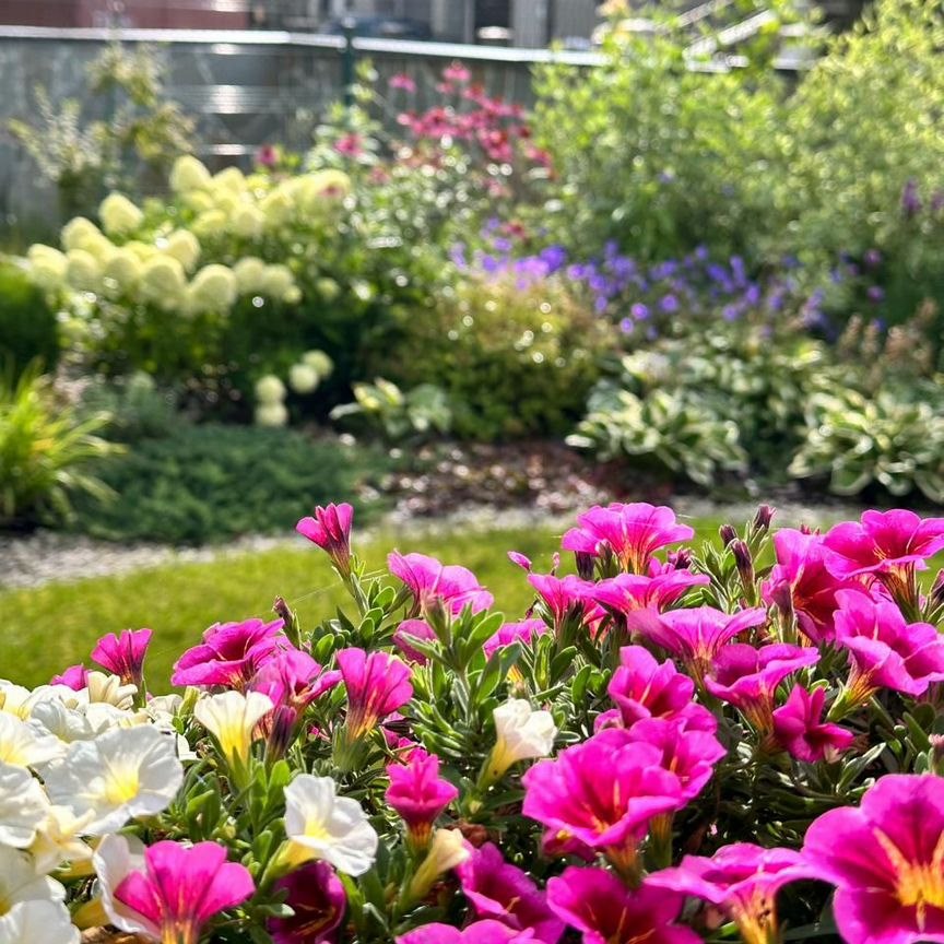 Дом, 360 м², 20 соток