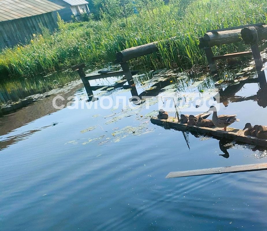 3-комн., 57.5 м², 1/1 этаж