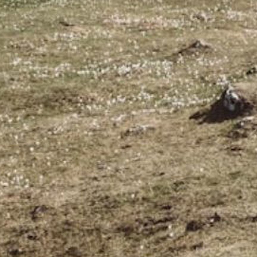 Купить участок, 6 соток