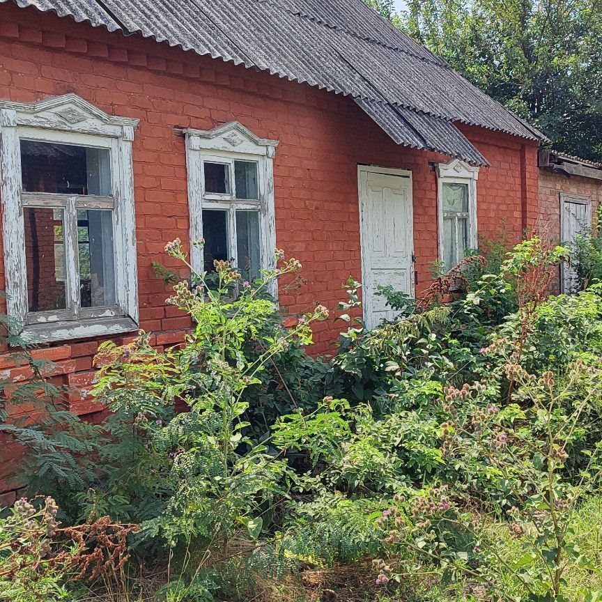  дом, 47.4 м², 20 соток