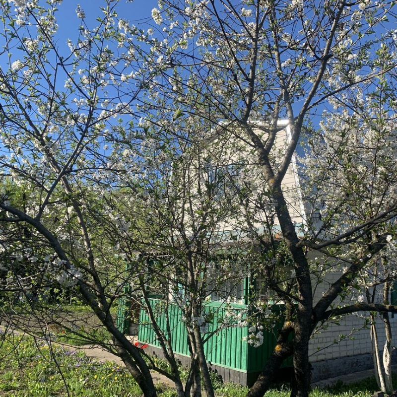 Коттедж, 48 м2, 7.7 соток
