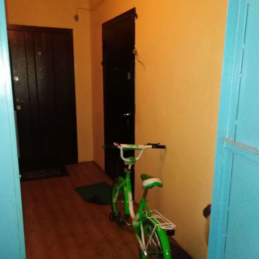 2-комн., 50.6 м², 3/5 этаж