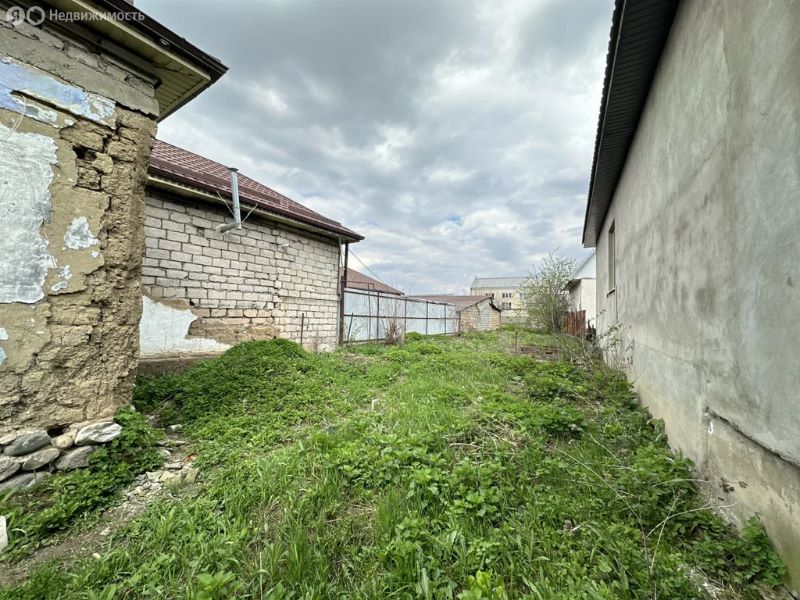 3 сотки