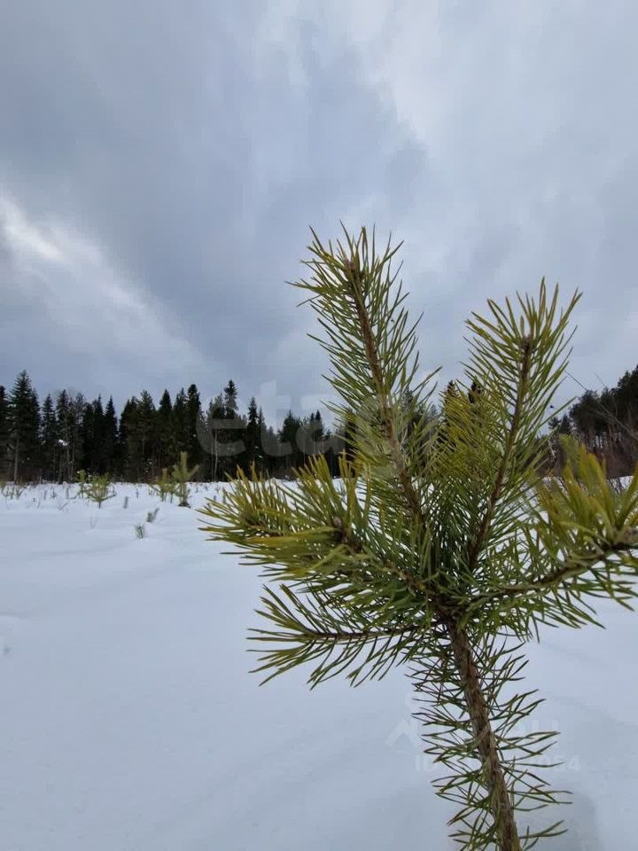 Продам участок земли, 15 соток