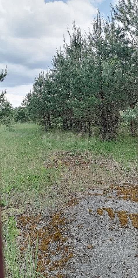 Участок земли, 901.65 сотка