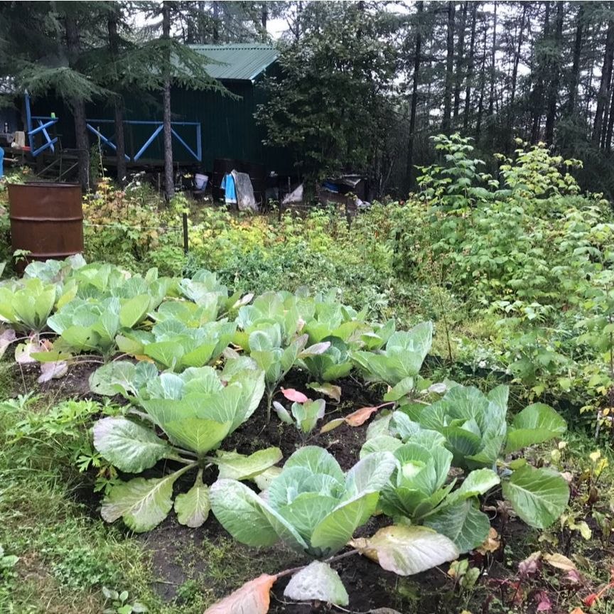 Купить участок земли, 6.5 соток