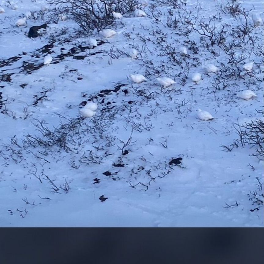 Участок, 8 соток, ИЖС