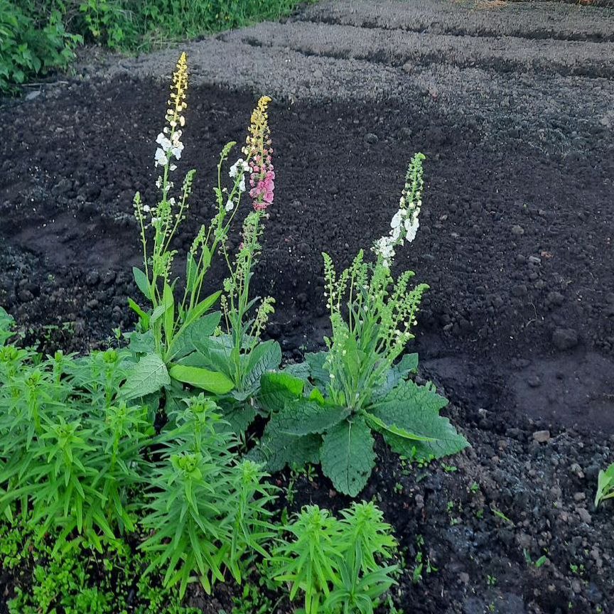 Продажа участка, 4 сотки