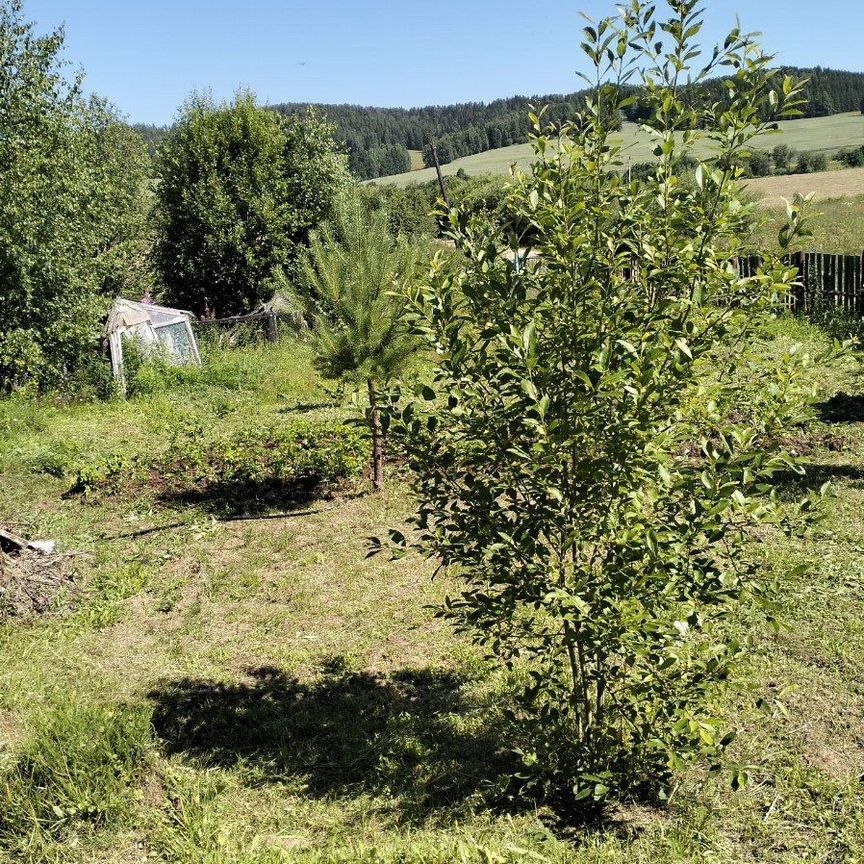 Продажа участка, 15 соток