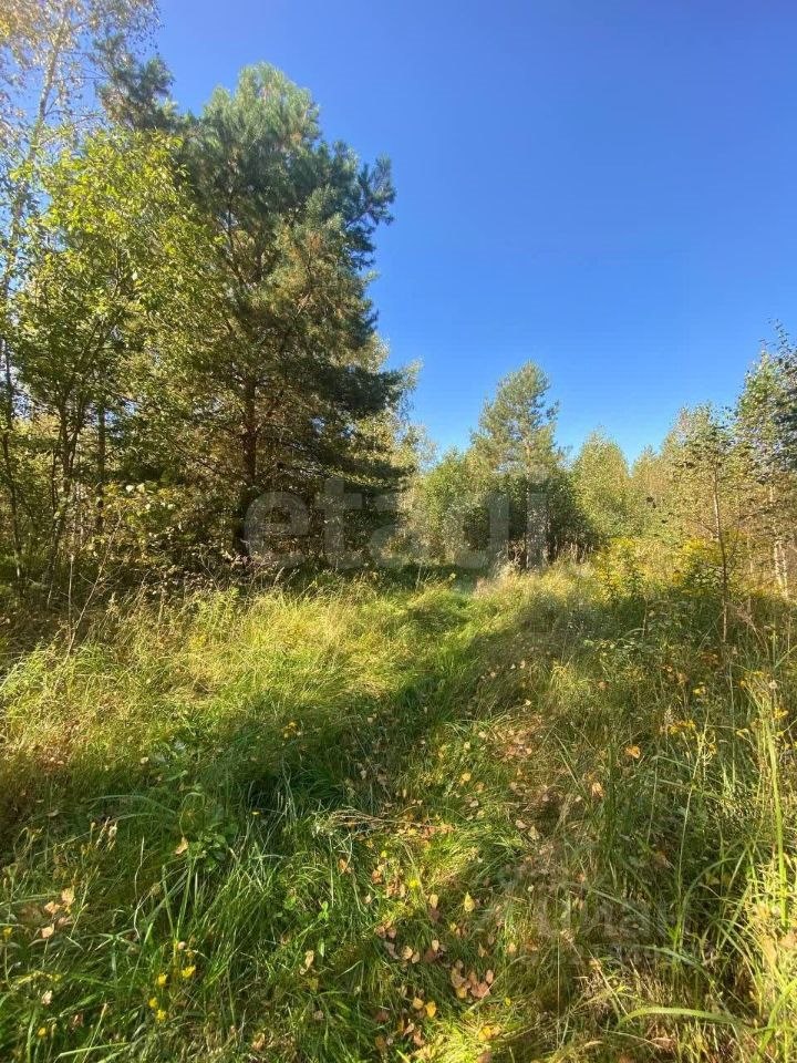 Продажа земли, 1000 соток