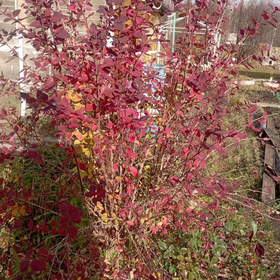 1-этажный дом, 12 м², 20 соток