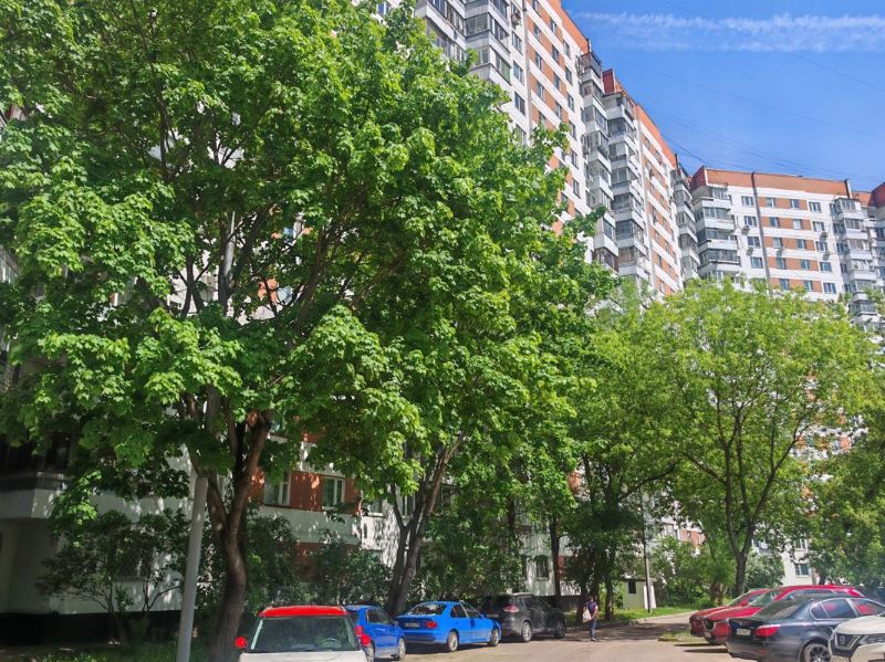 2-комн., 53.4 м², 2/17 этаж