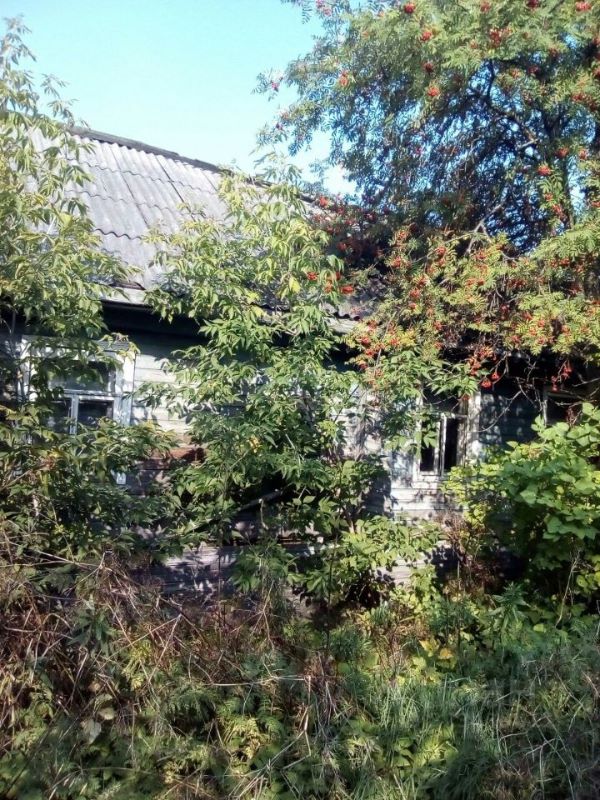 Офис, 50.3 м2, /1 этаж