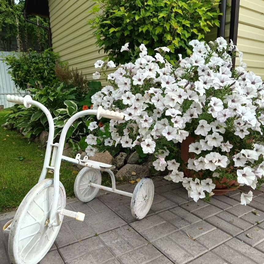  дом, 72 м², 9 соток