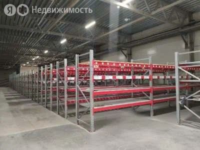 Склад, 6000 м², 1/1 этаж