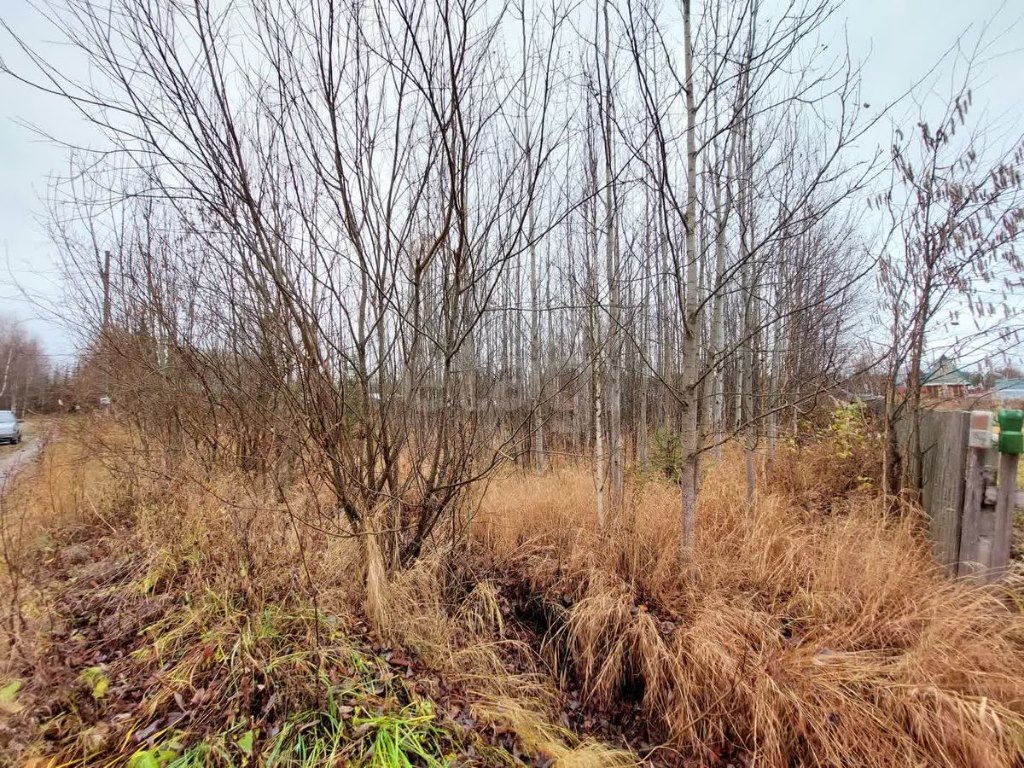 Купить земельный участок, 10 соток