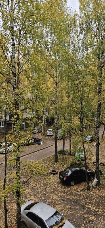 2-комн., 44.3 м², 3/5 этаж