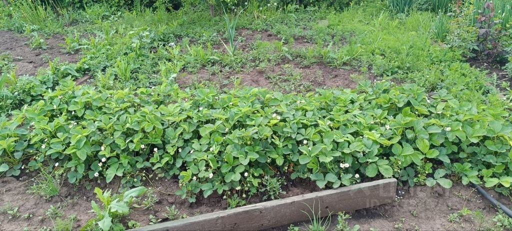 Дом, 35 м², 5 соток