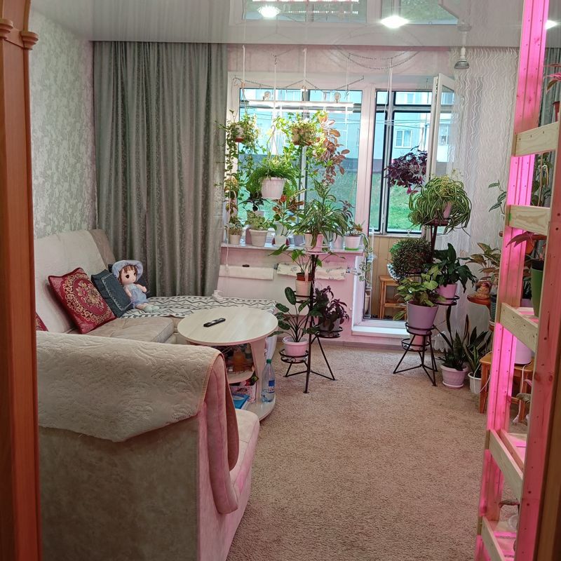 2-комн., 51.7 м², 2/5 этаж