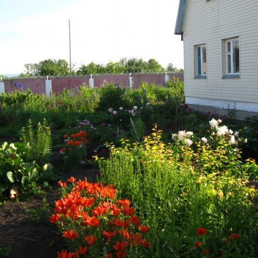  дом, 36.4 м², 15 соток