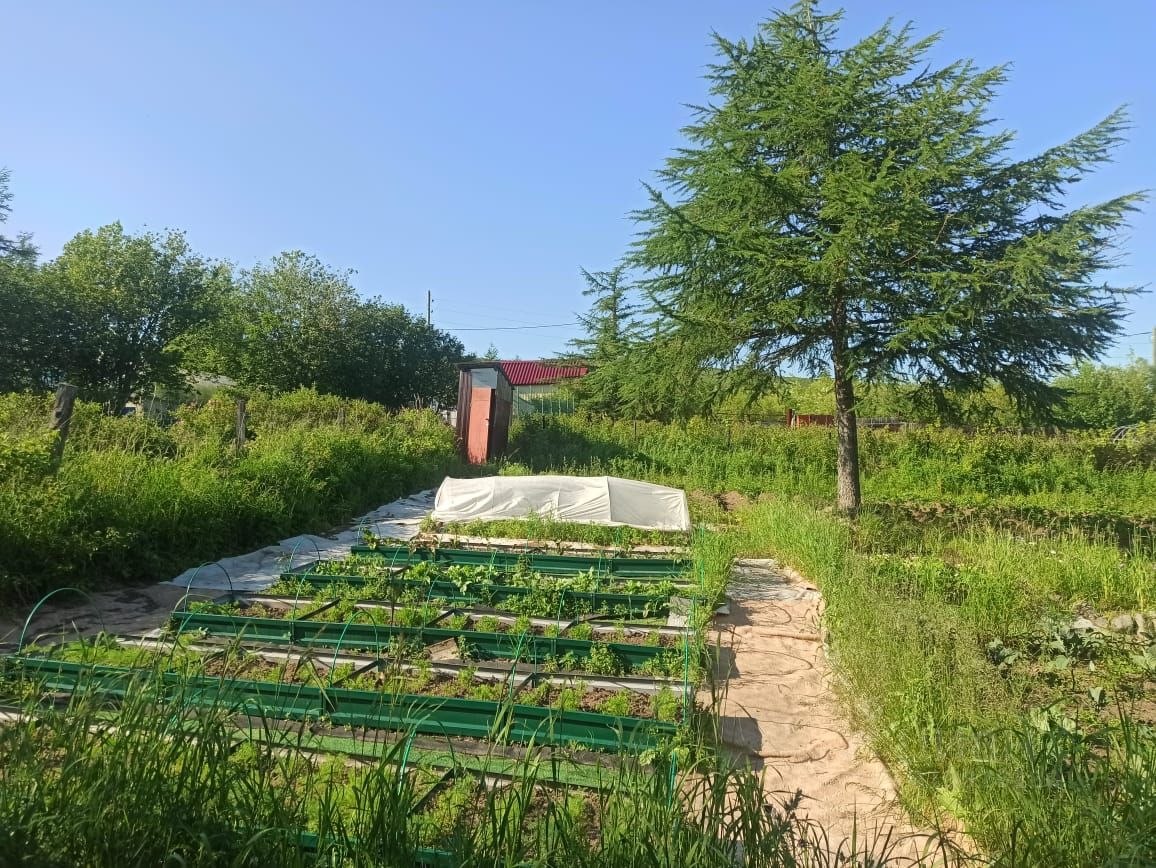 Дом, 31 м², 6 соток