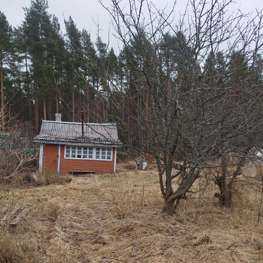 Дом, 10 м², 10 соток