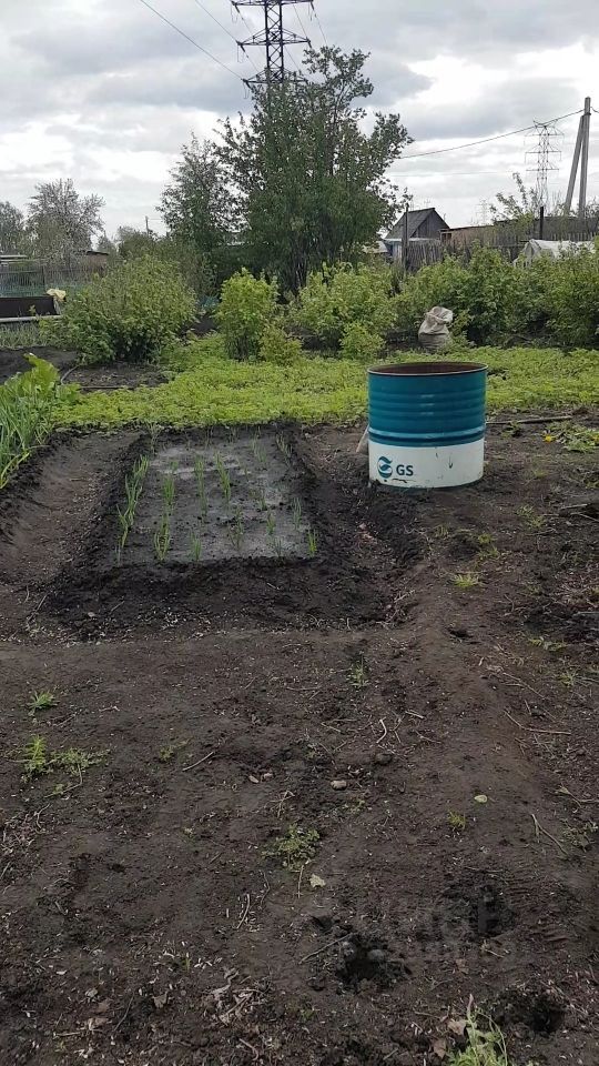 Участок, 3 сотки, СНТ