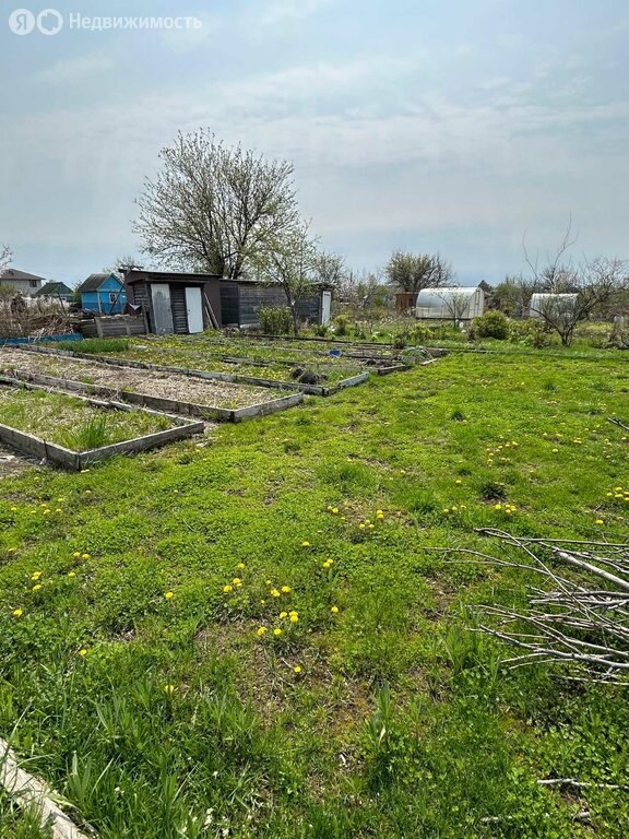 Дом, 50 м², 50 соток