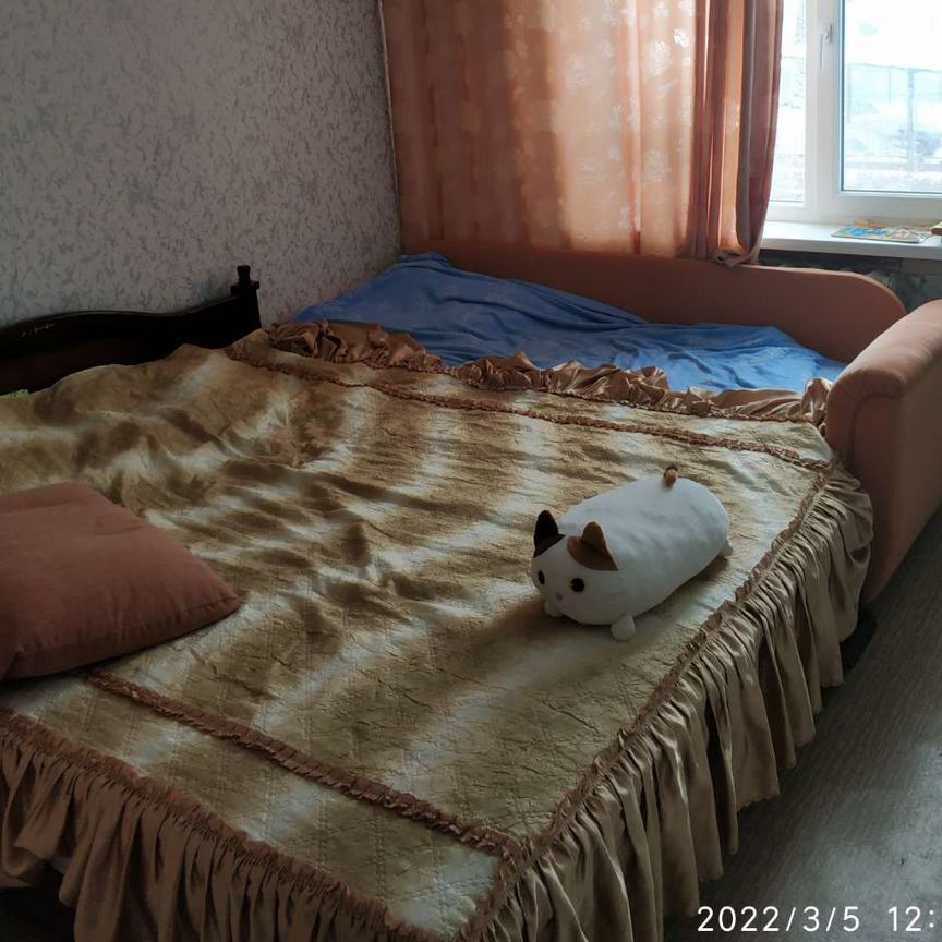 2-комн., 50.8 м², 2/3 этаж