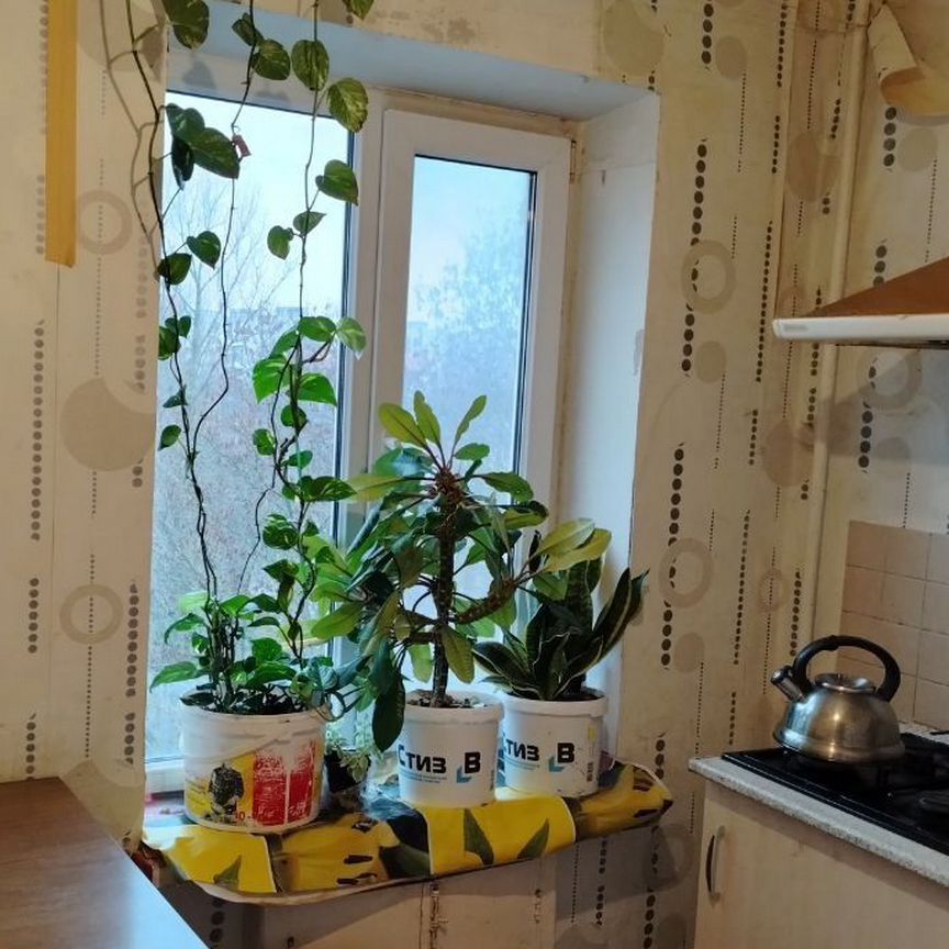 2-комн., 43.6 м², 6/9 этаж