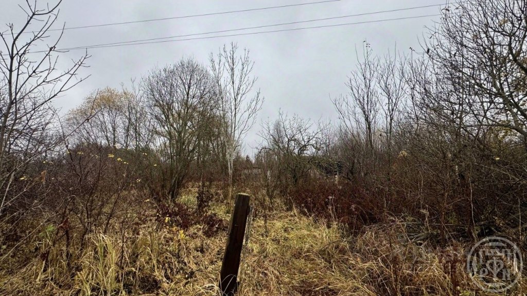 Купить землю, 200 соток