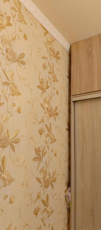 1-комн. квартира, 16.9 м2, 2/2 этаж