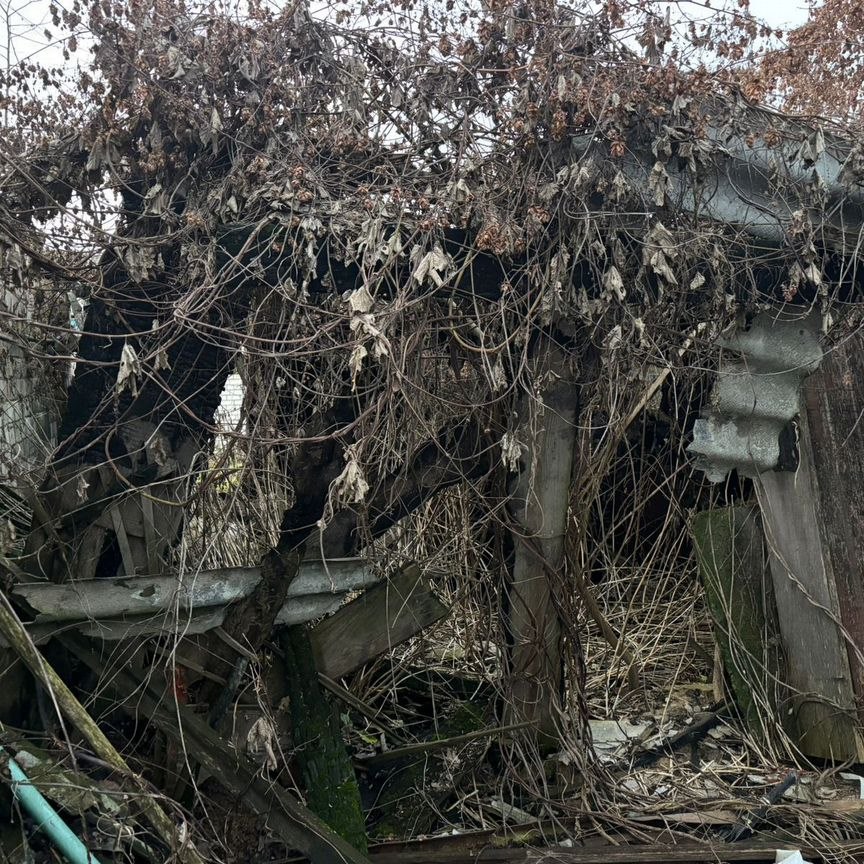 Дом, 36 м², 14 соток