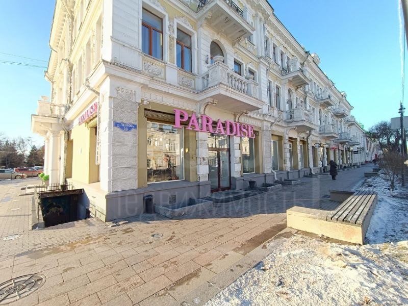 ПСН, 160.3 м², 1/3 этаж