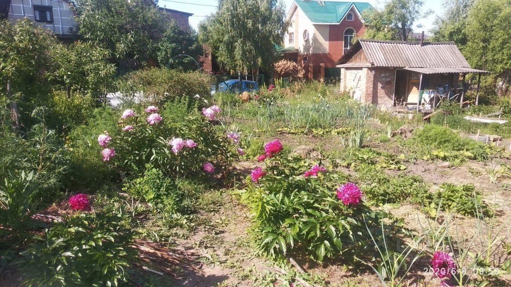 Участок земли, 12 соток