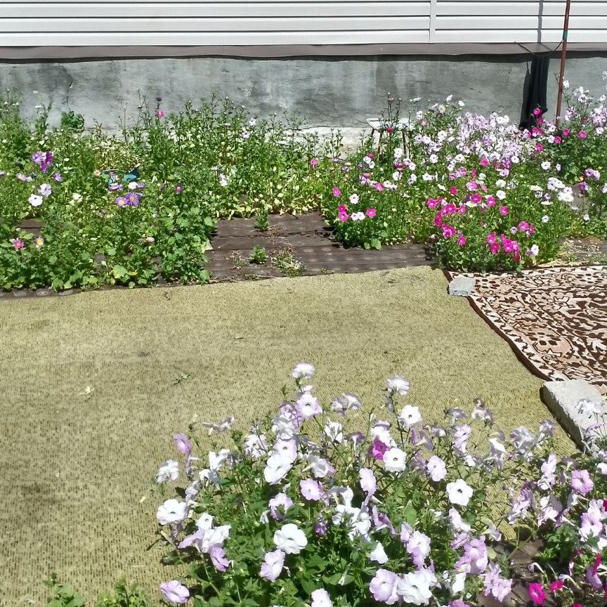 Дом, 59 м², 6 соток