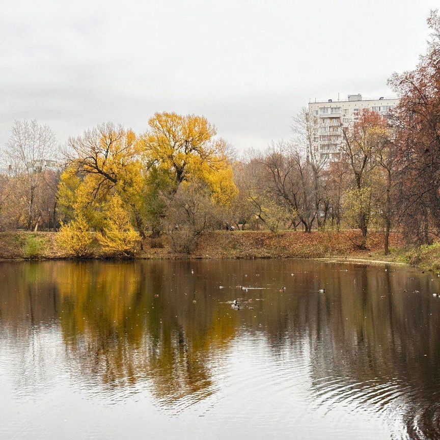 Студия, 10 м², 1/5 этаж