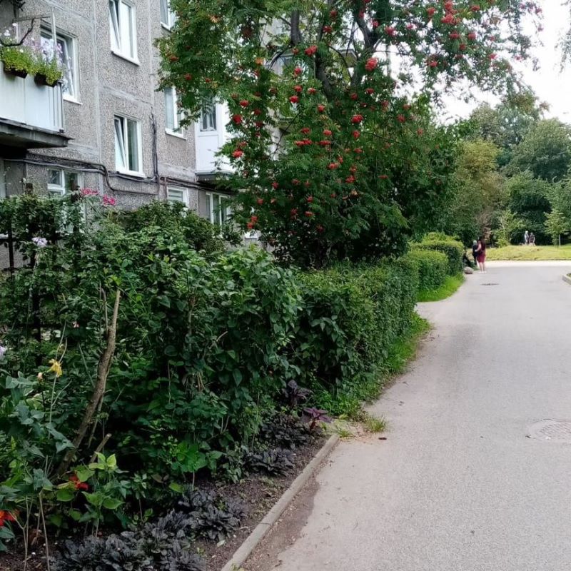 2-комн., 42.6 м², 2/5 этаж